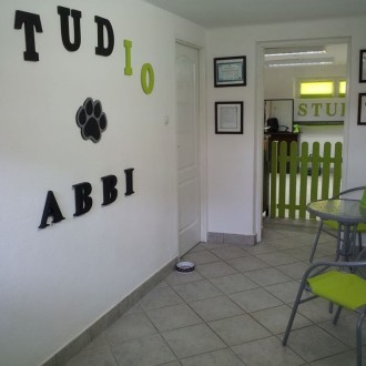 Galleries Psi Fryzjer Studio Abbi Warszawa Ursus